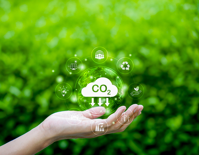 Carbon footprint reduction and sustainability at Fox Jaffna Sri Lanka