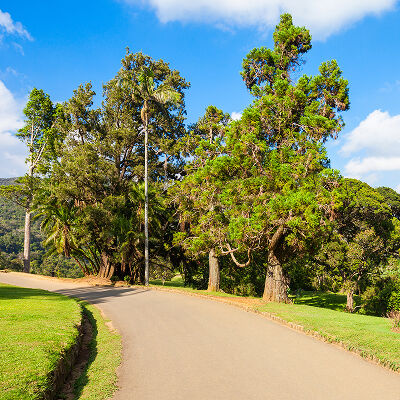 FAQ Image
