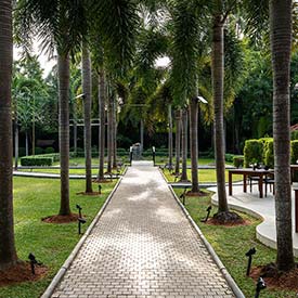 Landscaped walkway with palm trees at Fox Jaffna Sri Lanka