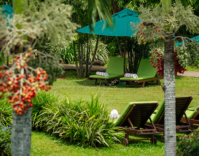 Tranquil tropical garden with lush grass and palm trees at Fox Resorts
