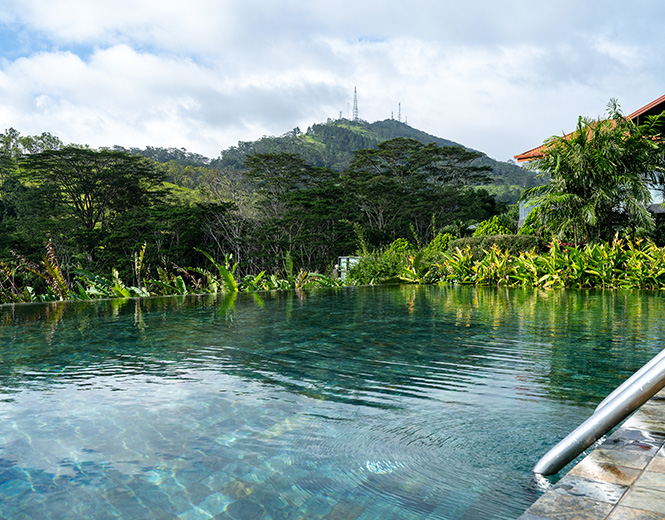 Infinity pool at Fox Kandy boutique hotel Sri Lanka