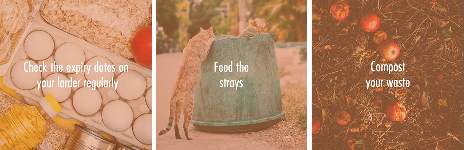 Fox Resorts Presents: A Hotelier’s Guide to Reducing Food Waste