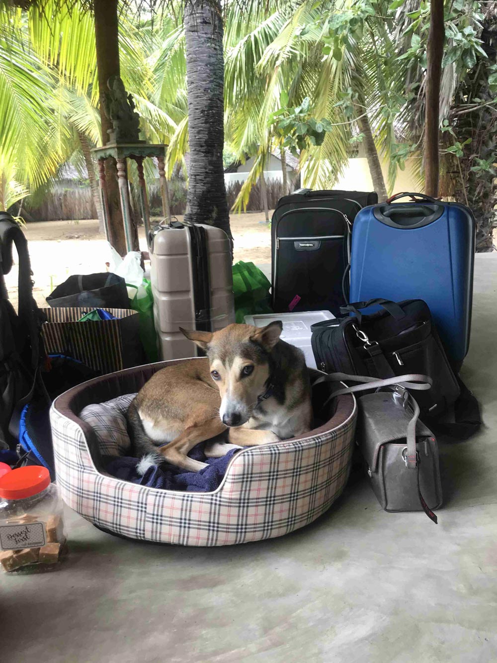Katie-Chitty-goes-to-Jaffna
